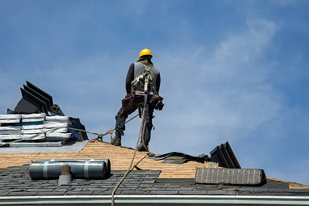 Professional Roofing technician working in Hollow Rock, TN
